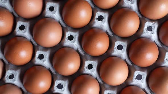 A Tray of Eggs 02 alt