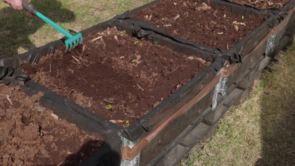 Close up of man hands in cultivate ground with garden rake for planting vegetables on pallet collar alt
