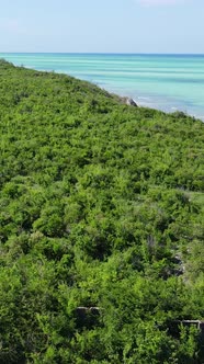 Tanzania  Coast of Zanzibar Island Covered with Thickets Slow Motion alt