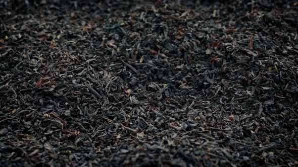 Tea Leaves Rotating alt