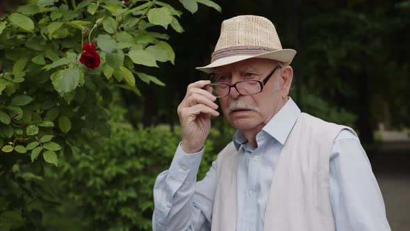 The Father Was Moved When He Saw His Son After Long Separation alt