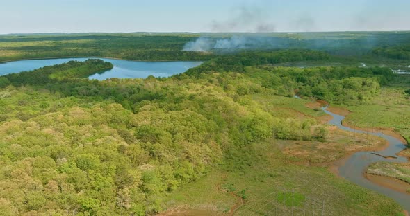 Smoke in the Forest Fire on the Horizon Fire in an Open Area alt
