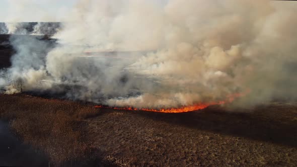 Drone footage of wild fire spreading quickly through the fields and swaps with dry grass and bushes