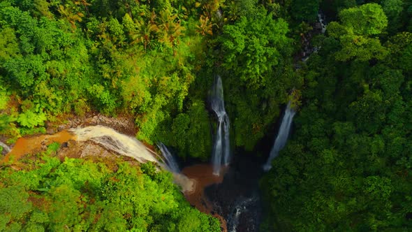 Waterfall In The Jungle alt