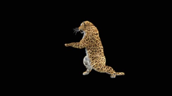 77 Leopard Dual Weapon Combo HD alt