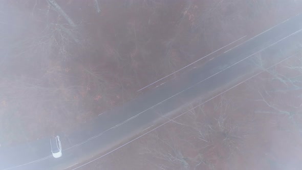 Top View of White Car Stuck on Forest Road in Foggy Day or Night alt