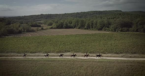 Horses riding in the countryside