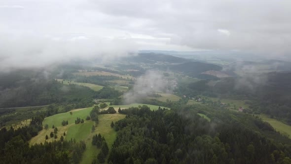 Flying in clouds above the forests