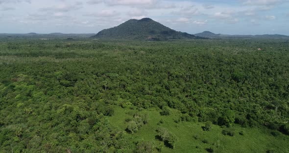 Cinematic 4K Aerial View beauty of a green tropical forest