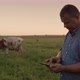 A Middleaged Farmer Works in a Pasture Uses a Tablet - VideoHive Item for Sale