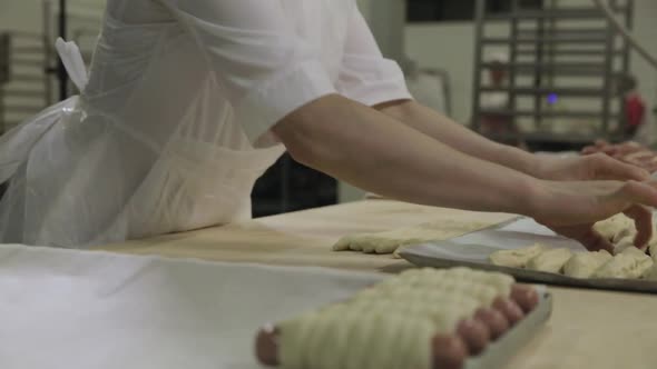 Raw Hot Dogs Rolled In Dough By Woman Baker Hands alt