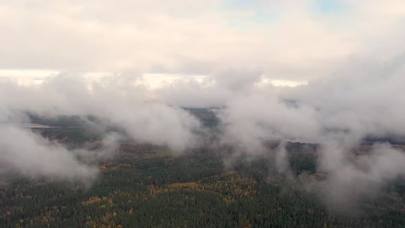 Aerial view running clouds over green forest. Time lapse white clouds