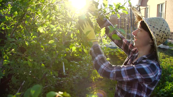 Concept of Hobbies and Country Life. Young Woman Caring for Trees in Her Garden alt
