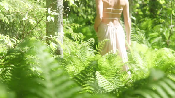 Sexy Woman Walking Between Ferns in Sunny Forest alt