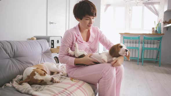 Young Caucasian Female in Pink Pyjamas Playing with Two Beagle Puppies Sitting on Sofa in Bedroom alt