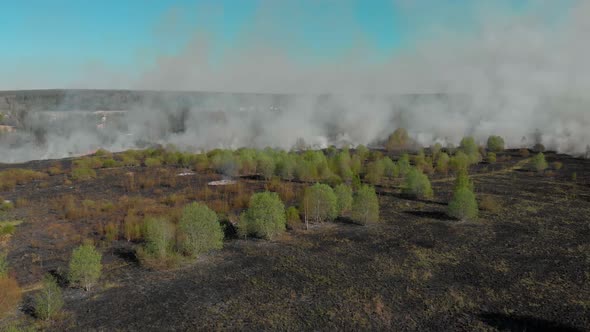 Aerial Tilt Down Drone Shot Overlooking Trees in Flames Forest Fires and Smoke Destroying and alt