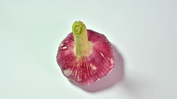 Head of Garlic on White Background Spins. isolate. Day Indoors, Horizontal and 4k Resolution.
