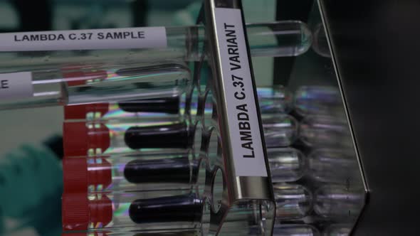Lambda C37 Variant Test Tube Samples Being Inserted Into Rack. Vertical Video, Locked Off alt