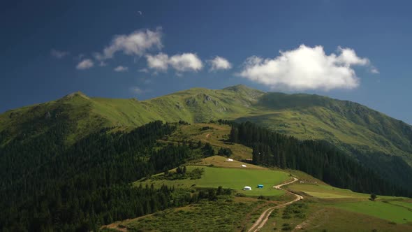 8K Green Meadows of Plateau Among Mountain Forests