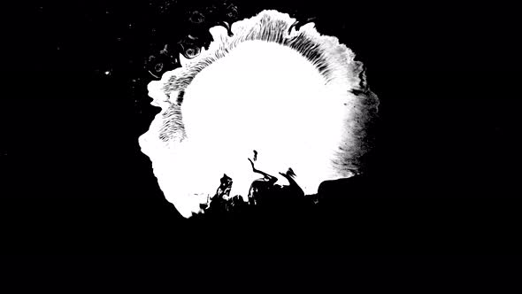 Bloom Ink. Beautiful White Watercolor Ink Drops Transition on Black Background alt