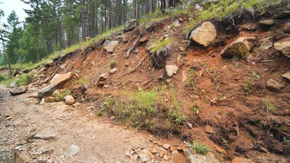 A Stone Trail and a Hill in the Forest of Siberia alt