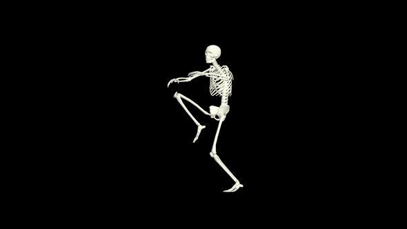 Skeleton Hip Hop Dancing