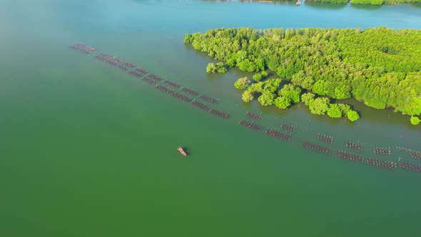 An island-shaped mangrove forest in the middle of a river mouth near the sea. alt