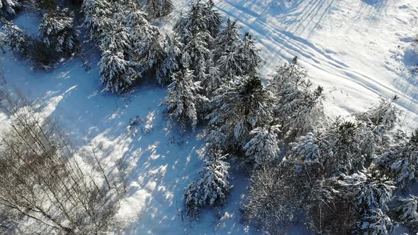 Aerial Shot Flying Over Winter Snow Woods Video