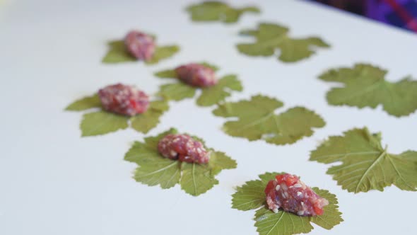 Homemade Stuffed Grape Leaves with Minced Meat