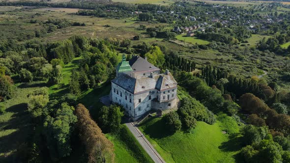 Aerial Shot Village Olesk Castle. Ukraine alt