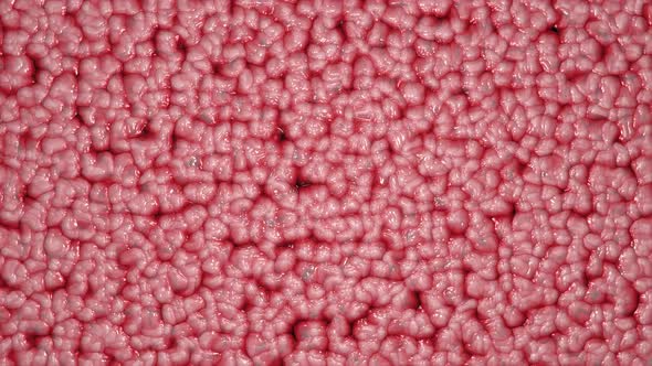 Moving Textures in the Shape of Living Organs alt