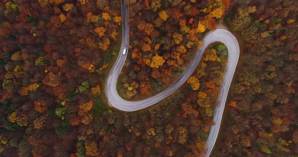 Flying Over Country Road in Late Autumn 4K