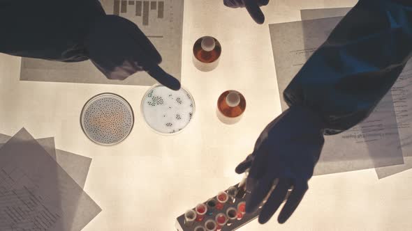 Biotechnologists Doing Research in Lab alt