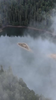 Vertical Video Mountain Lake Synevyr alt