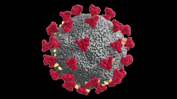 Seamless Loop of a Coronavirus Viron With Transparent Background