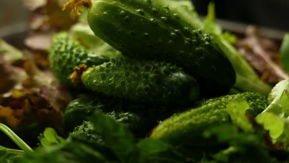 Green Cucumbers on the Black Rustic Backgroud