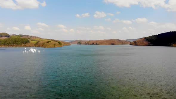 Flight Over Lake at Spring