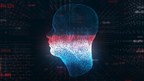 Human Head Big Data Projection