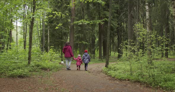 Mother Holding Hands Two Daughters While Walking Amidst Forest with Dog alt