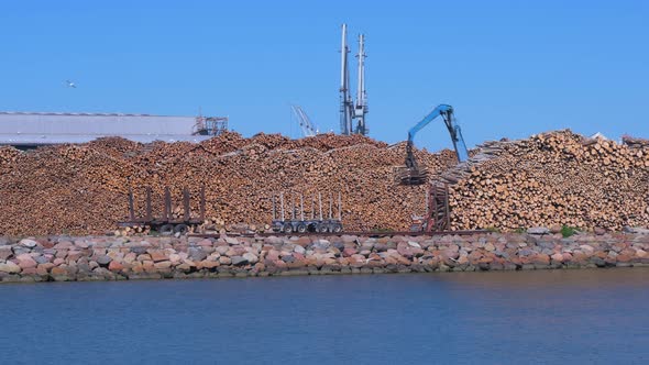 Blue forest cargo truck working at dry cargo terminal at Port of Liepaja in sunny day with clear sky alt