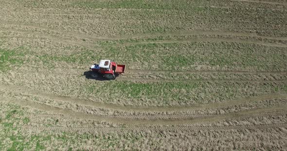 Aerial view, Farmer Drives Old Tractor Sow Buckwheat Seeds