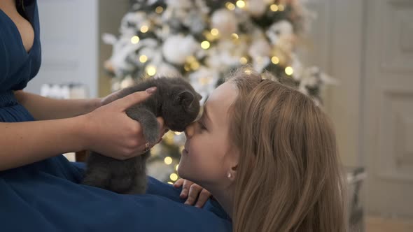 Little Girl Caressing Kitten Over Christmas Tree alt