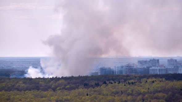 Smoke from the fire rises behind trees in the forest near city buildings, timelapse