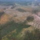 Aerial Deforestation 07 - VideoHive Item for Sale