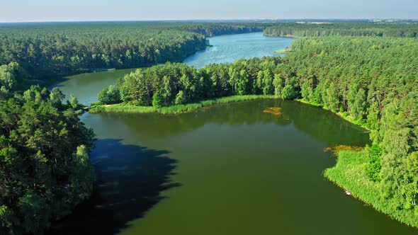 Big forest and lake in Zalew Koronowski, Poland alt