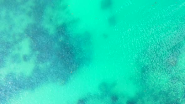 Aerial drone shot texture of tropical coast beach adventure by clear sea and white sandy background  alt