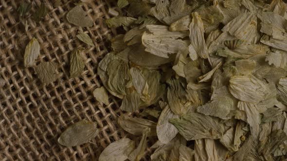 Rotating shot of barley and other beer brewing ingredients - BEER BREWING alt