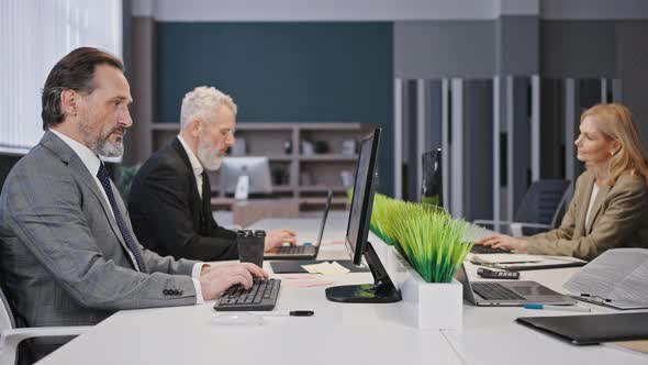 Group of Mature Professional Men and Women Employees Working at Modern Office Typing on Laptops alt