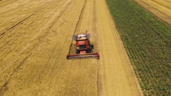 Resolution Drone Flight Over Combine Harvester Harvest Ripe Wheat on a Farm alt