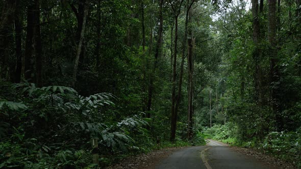 footage of road that cuts through a rainforest in a tropical country